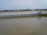 P1000035.jpg